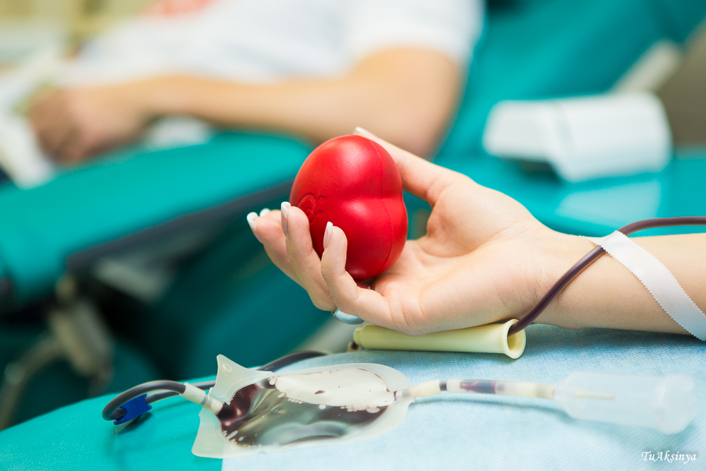 Всероссийская донорская суббота в подмосковном Одинцове